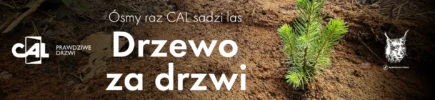Drzewo za drzwi - CAL sadzi las