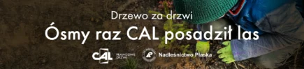 Drzewo za drzwi - akcja ekologiczna firmy CAL prawdziwe drzwi