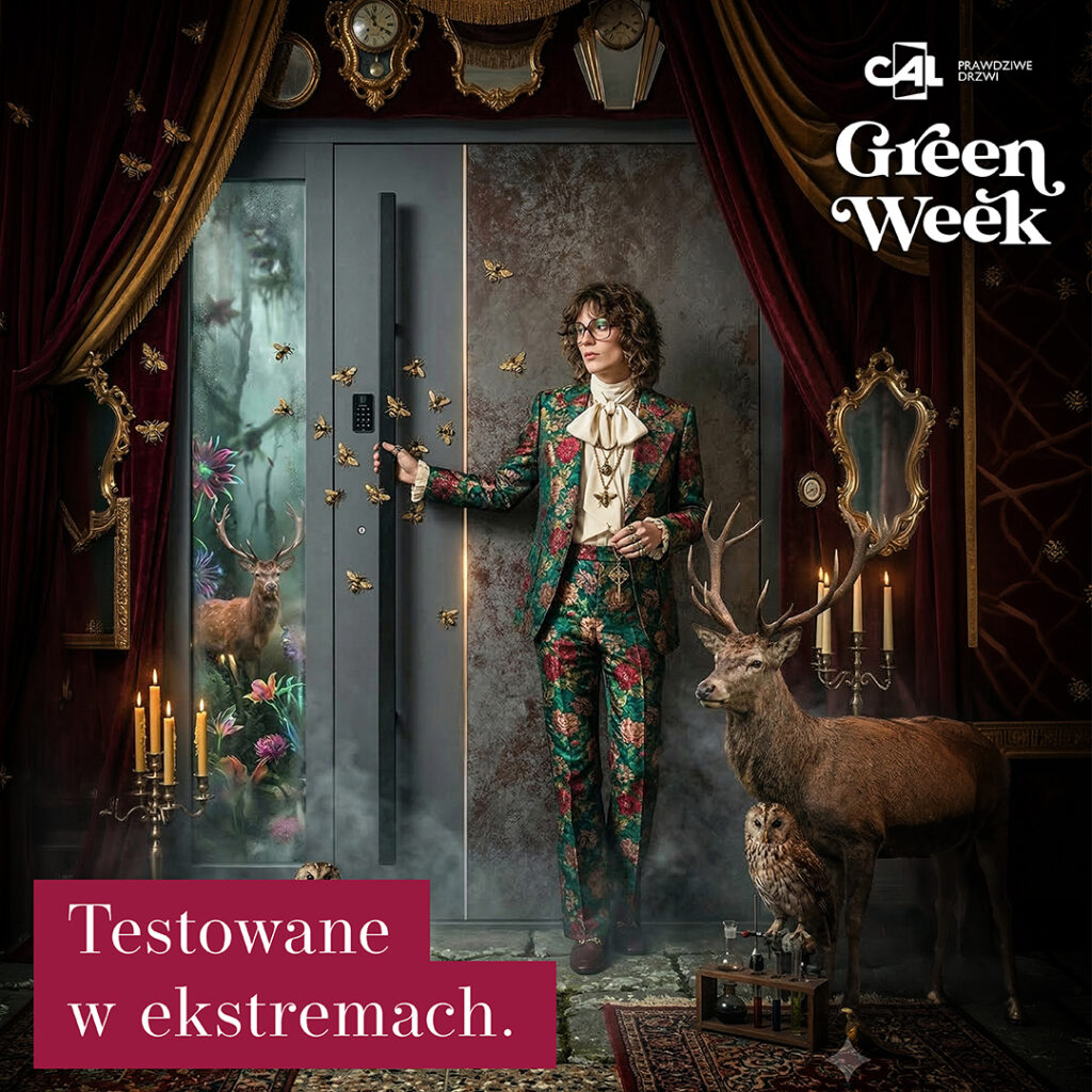 drzwi zewnętrzne CAL