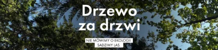 Drzewo za drzwi 2026